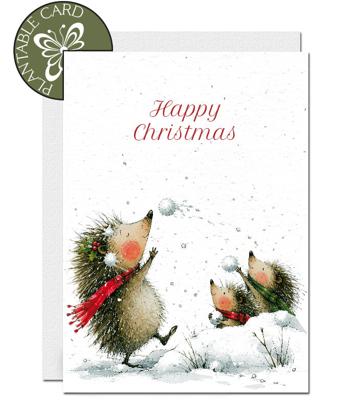 seed paper Christmas card