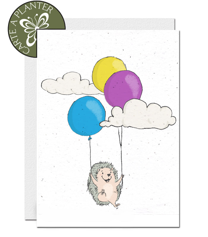 carte papier ensemence