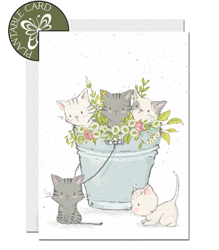 plantable card, blank, kittens