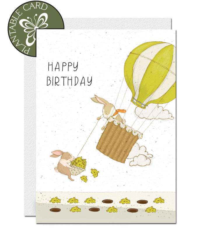 plantable birthday card lettuce seeds