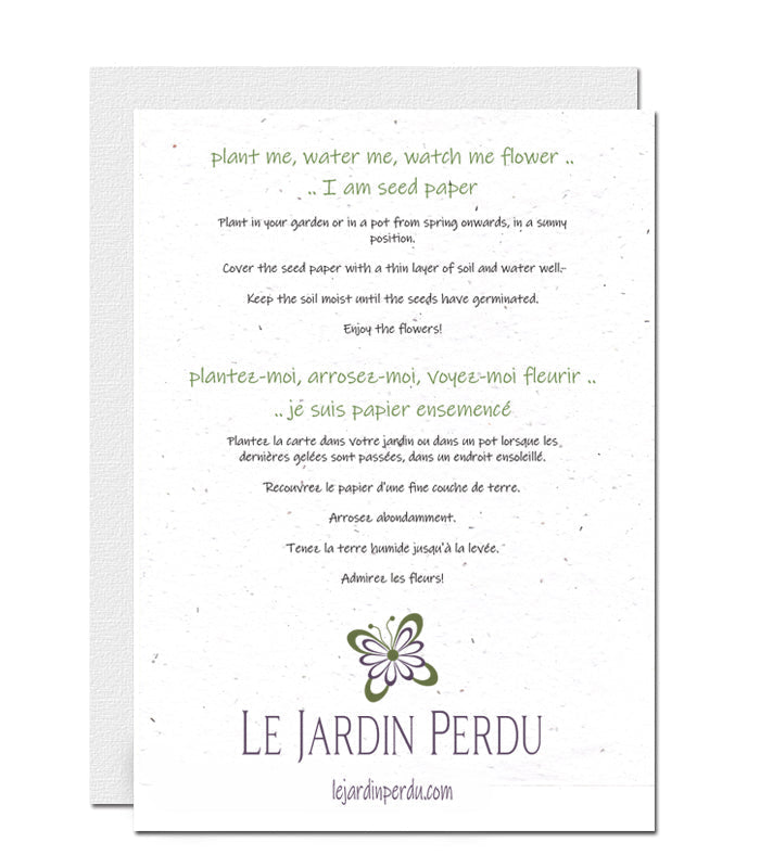 Personalised New Baby Plantable Card - Baby Boy
