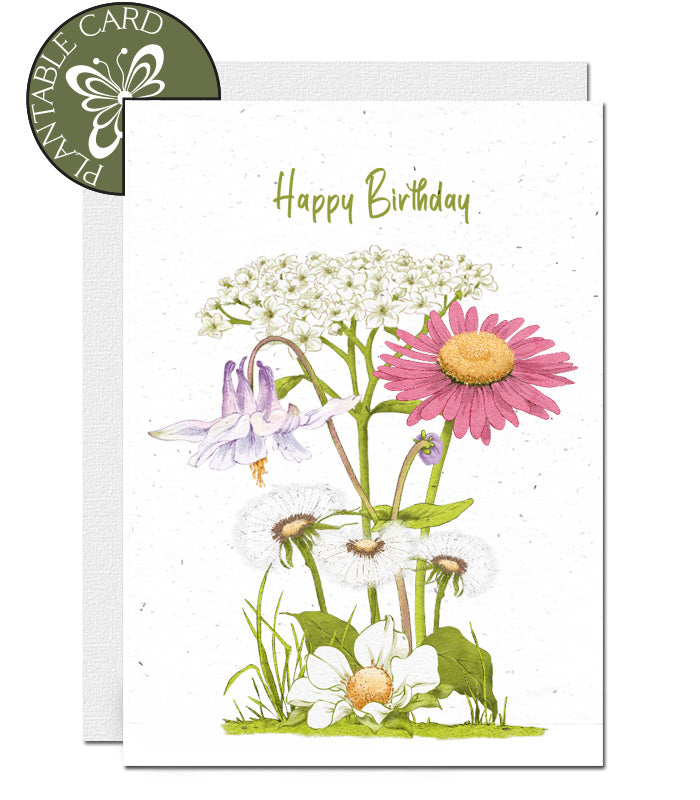 biodegardable seed paper card