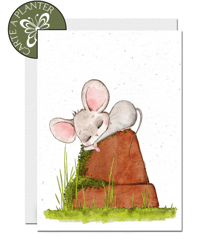 carte à planter sans message 