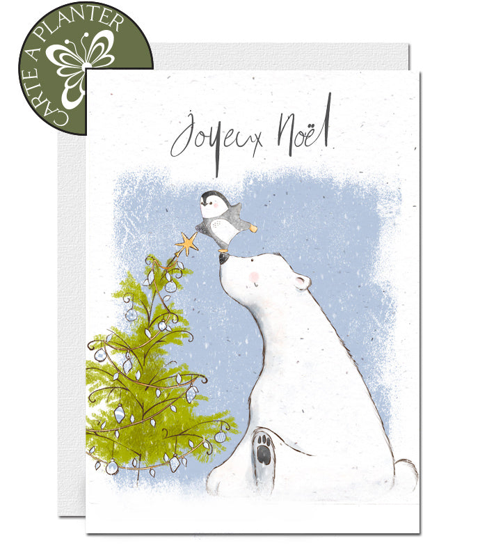 Carte de Noël biodégradable papier ensemencé