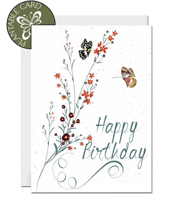 ecofriendly greeting cards