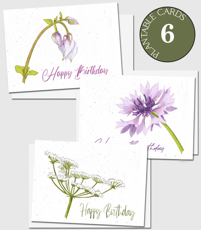 eco-friendly birthday cards