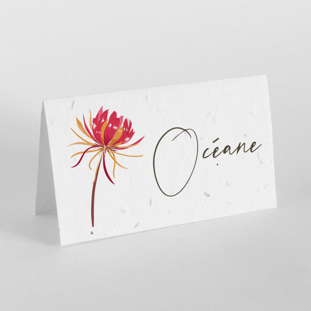 ecofriendly name place card seed paper