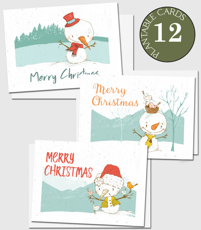 seed paper cards christmas set 12