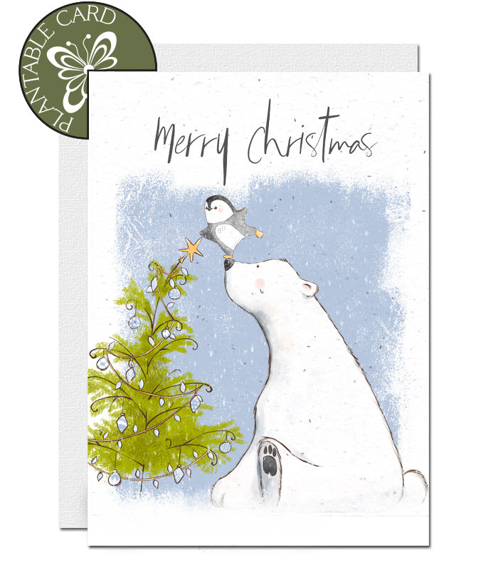 biodegradable Christmas card seed paper